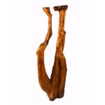 Roots Decor